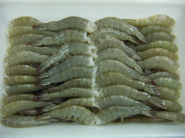 Cola-de-camaron