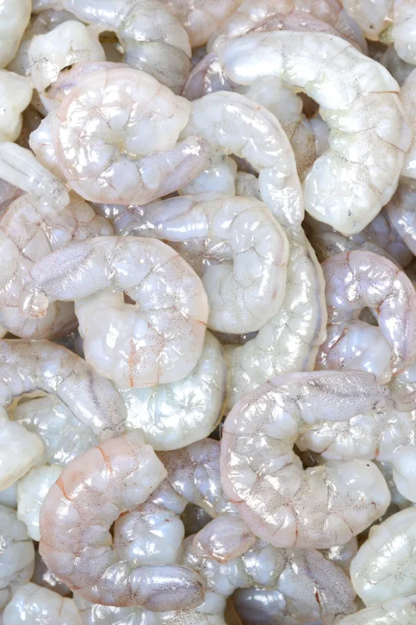 CAMARONES-LIMPIOS-2